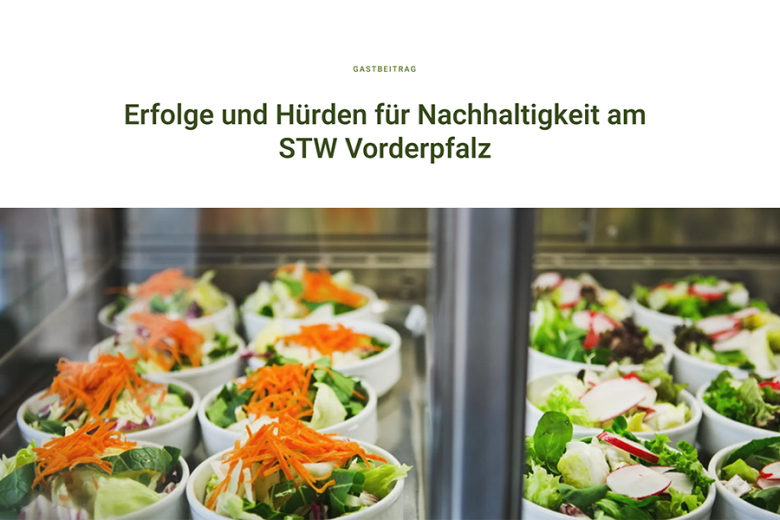 Gastbeitrag auf MENSArevolution.de